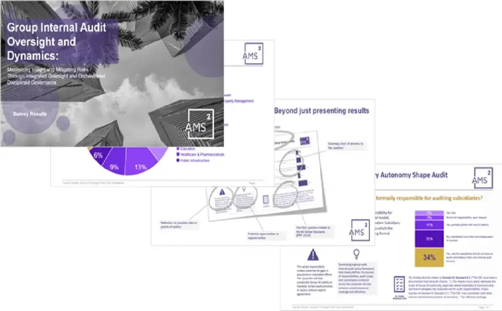 Group Internal Audit Oversight Over Subsidiaries and Dynamics