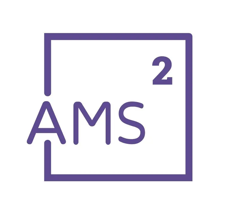 AMS 2 (LLC)